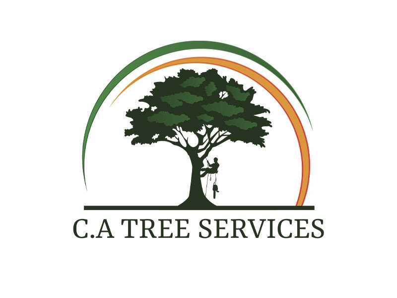 C.A Tree Services team
